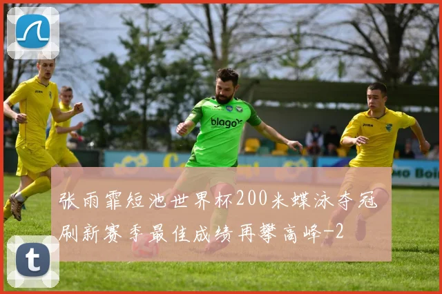 张雨霏短池世界杯200米蝶泳夺冠 刷新赛季最佳成绩再攀高峰