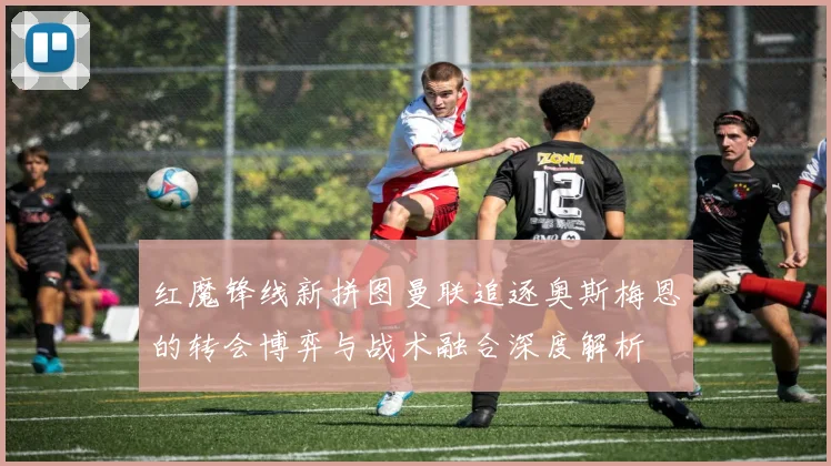 红魔锋线新拼图曼联追逐奥斯梅恩的转会博弈与战术融合深度解析